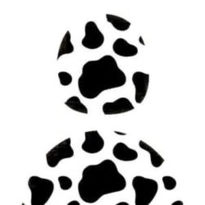 Meet your Posher, Shan